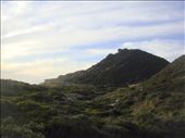 Covered dunes, D'Entrecasteaux NP, WA: by thomasz, Views[319]