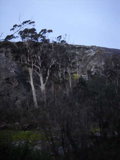 Mt. Chudalup, D'Entrecasteaux NP, WA