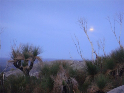 Grass trees and the moon, Mt. Chudalup, D'Entrecasteaux NP, WA