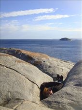 The Count, Torndirrup NP, WA: by thomasz, Views[235]