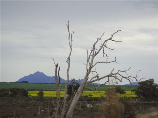 Towards the Stirling Range, WA