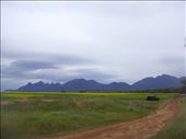 Camping spot near Stirling Range NP, WA: by thomasz, Views[174]