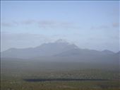 Looking at Toolbrunup Peak (1052m), Stirling Range NP, WA: by thomasz, Views[166]