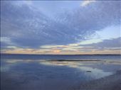Tractor Beach, South of Streaky Bay, SA: by thomasz, Views[176]