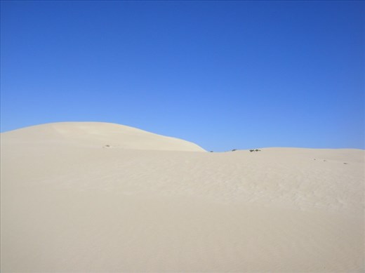 Big dunes, Fowlers Bay, SA