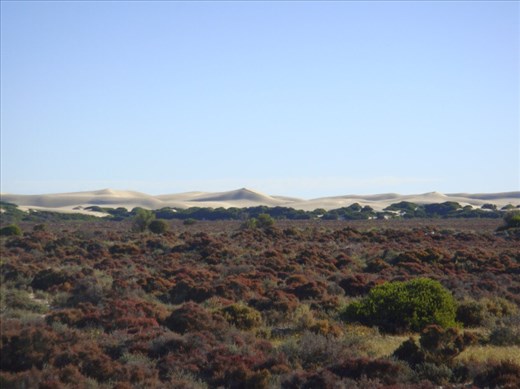 Dunes around Fowlers Bay, SA