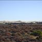Dunes around Fowlers Bay, SA: by thomasz, Views[151]