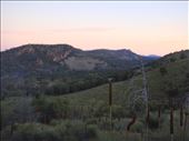 Dead tree & grass trees, Warren Gorge, SA: by thomasz, Views[212]