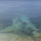 Clear water, Tractor Beach, SA: by thomasz, Views[124]
