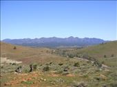 Wilpena Pound, Flinders Ranges NP, SA: by thomasz, Views[132]