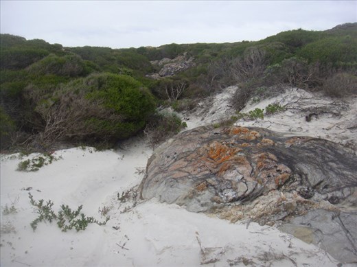 On West Beach, Fitzgerald NP, WA