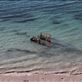 Shipwreck, Point Sinclair, SA: by thomasz, Views[164]