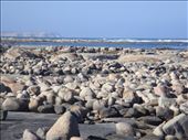 Rocks and ocean, South of Streaky Bay, SA: by thomasz, Views[158]