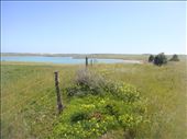 Big sky country, Eyre Peninsula, SA: by thomasz, Views[157]