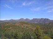 Wilpena Pound, Flinders Ranges NP, SA: by thomasz, Views[133]
