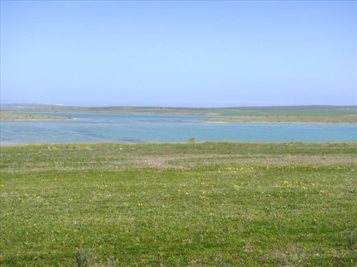Looking towards Point Labatt Conservation Park, SA