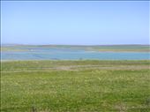 Looking towards Point Labatt Conservation Park, SA: by thomasz, Views[195]