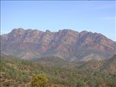 Wilpena Pound, Flinders Ranges NP, SA: by thomasz, Views[143]