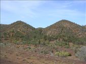 Twins, Flinders Ranges NP, SA: by thomasz, Views[182]