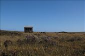 Smallest house on the prairie, Eyre Peninsula, SA: by thomasz, Views[144]
