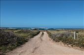 Dirt road, Eyre Peninsula, SA: by thomasz, Views[170]