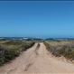 Dirt road, Eyre Peninsula, SA: by thomasz, Views[153]