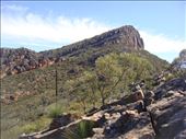 St Mary Peak (1168m), Flinders Ranges NP, SA: by thomasz, Views[151]