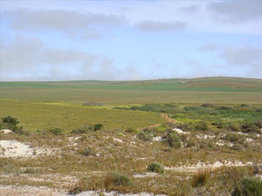 Near Lipson Cove, SA