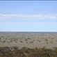 African savanna?, Madura, Eyre Hwy, WA: by thomasz, Views[162]