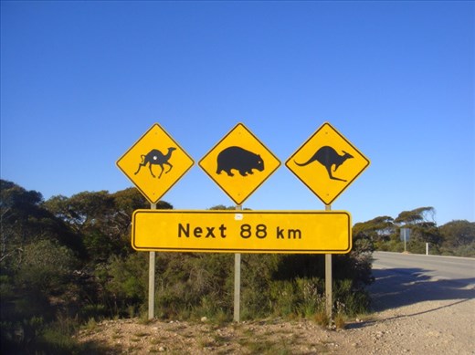 Signage, Eyre Hwy, WA