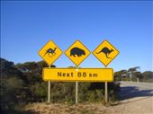 Signage, Eyre Hwy, WA: by thomasz, Views[155]