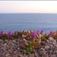 Multi-colored, Bunda Cliffs, SA: by thomasz, Views[184]
