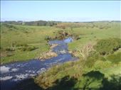 Hopkins river, Vic: by thomasz, Views[157]