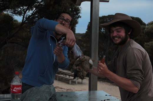 Skinning a rabbit for dinner, Fitzgerald NP, WA