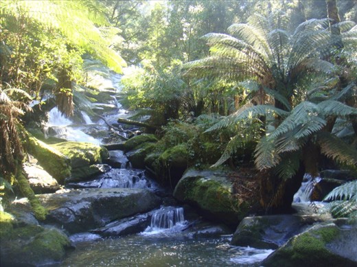 Base of Triplet Falls, Great Otway NP, Vic