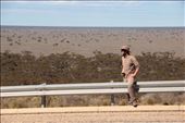 Madura, Eyre Hwy, WA: by thomasz, Views[156]