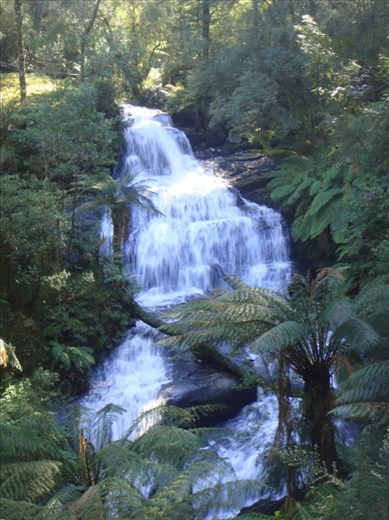 Triplet Falls, Great Otway NP, Vic