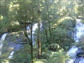 Triplet Falls, Great Otway NP, Vic: by thomasz, Views[171]
