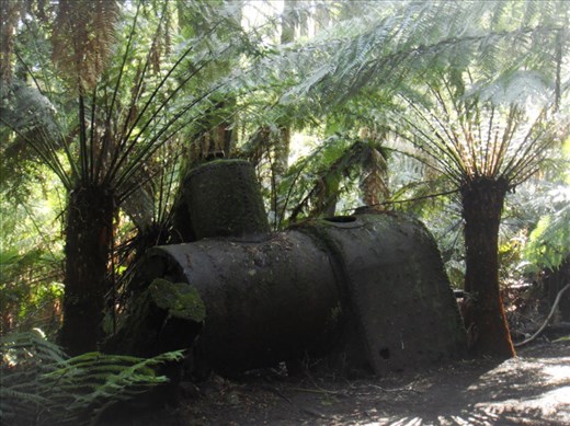 Boiler of a former sawmill , Great Otway NP, Vic