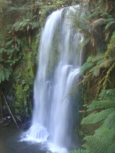 Beauchamp Falls, Great Otway NP, Vic