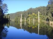 Lake Elizabeth, Vic: by thomasz, Views[194]