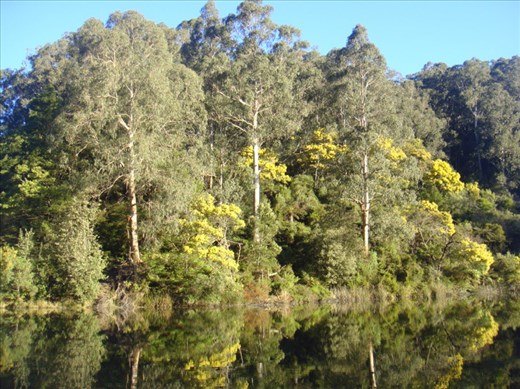 Perfect mirror, Lake Elizabeth, Vic