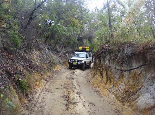 Hollow road, Fraser Island, QLD