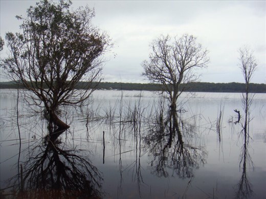 Lake Boomanjin, Fraser Is., QLD