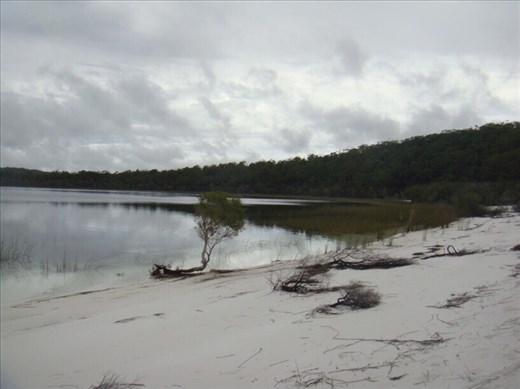Lake Birrabeen, Fraser Is., QLD