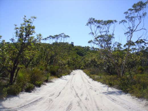 Sand track under a steel blue sky, Fraser Is., QLD