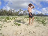 Golden Belgian God, Fraser Is., QLD: by thomasz, Views[169]