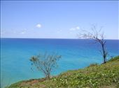 The Blues, Fraser Is., QLD: by thomasz, Views[197]