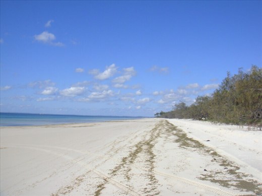 Beach near Woralie Creek, Fraser Is., QLD