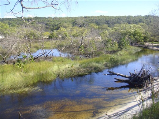 Woralie Creek, Fraser Is., QLD